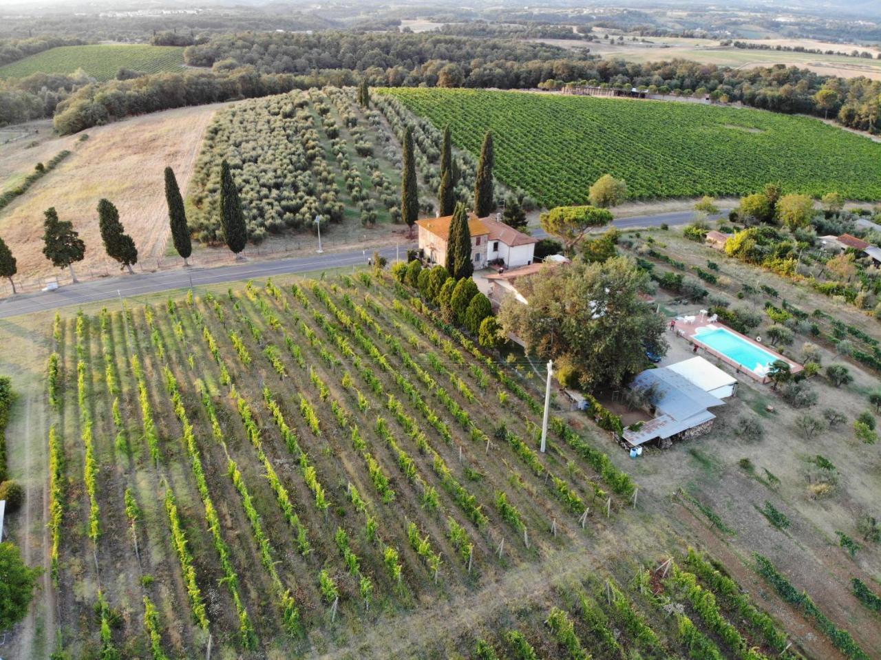 La Vecchia Quercia Villa Pergine Valdarno Dış mekan fotoğraf